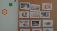 Educación Sexual para adolescentes desde la perspectiva de género